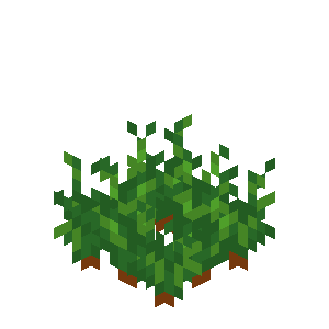 Carrots Age 4-6 Minecraft