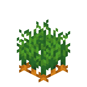 Carrots Age 7 Minecraft