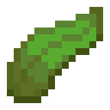 Algue Minecraft