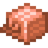 Copper Nautilus Armor Minecraft