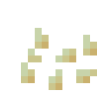 Graines de citrouille Minecraft