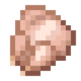 Poulet cru Minecraft