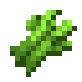 Canne à sucre Minecraft