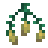Graines de torche-fleur Minecraft
