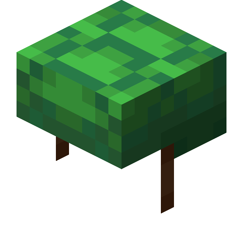 Turtle Shell Minecraft