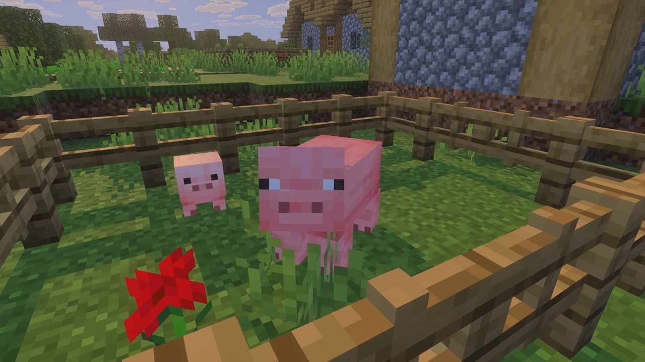 Cochon et porcelet dans un enclos de village, extrait de la présentation des Sound Effects Packs