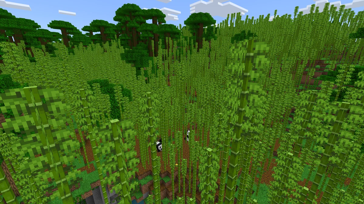 Jungle de bambous dans Minecraft