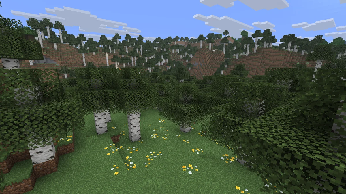Forêt de bouleaux dans Minecraft