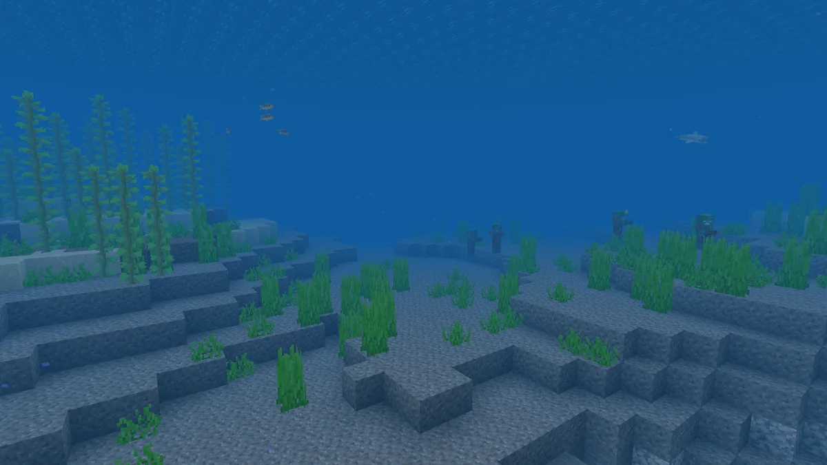 Océan dans Minecraft