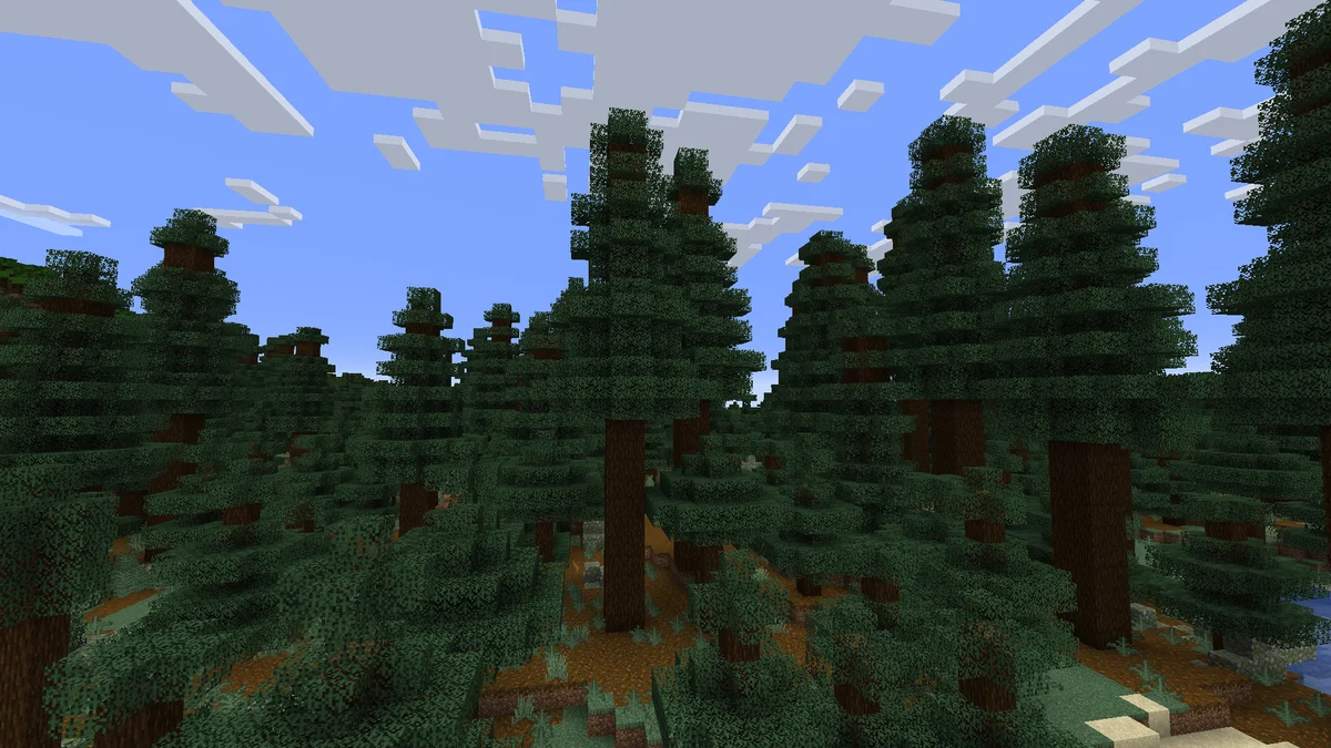 Taïga ancienne de sapins dans Minecraft
