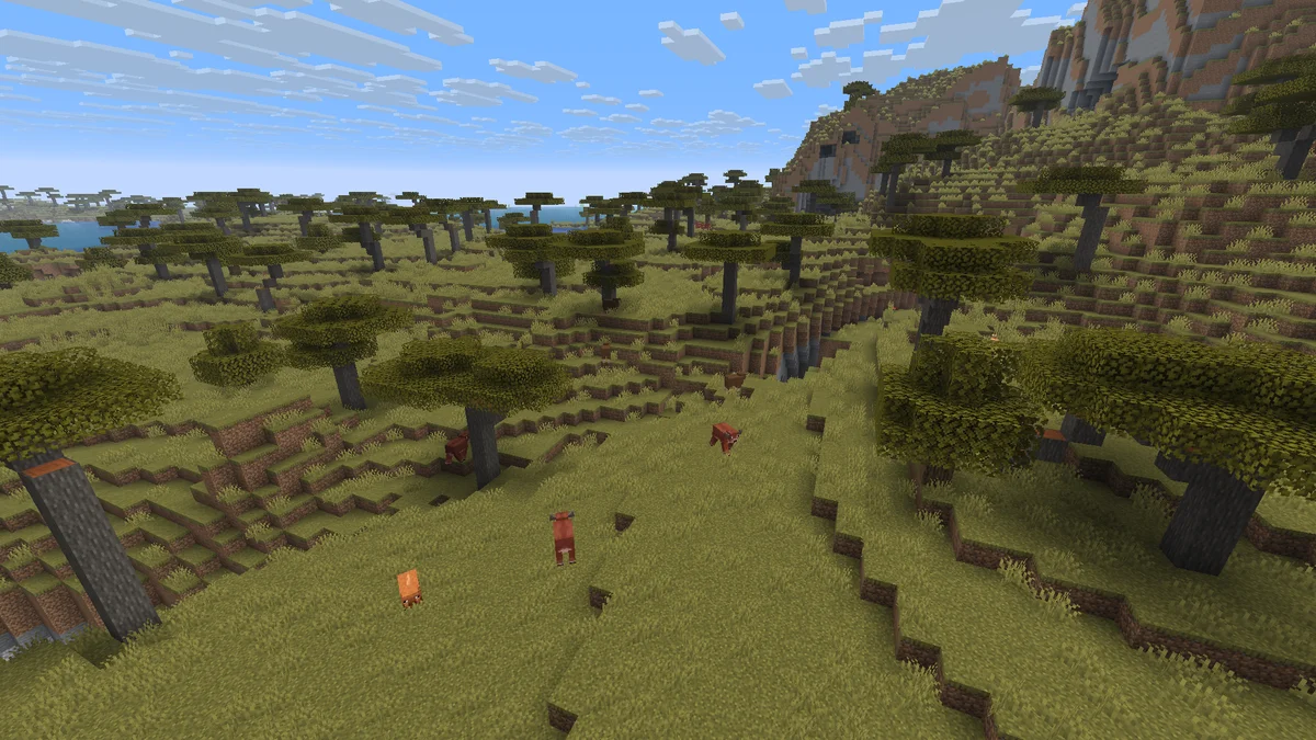 Savane dans Minecraft
