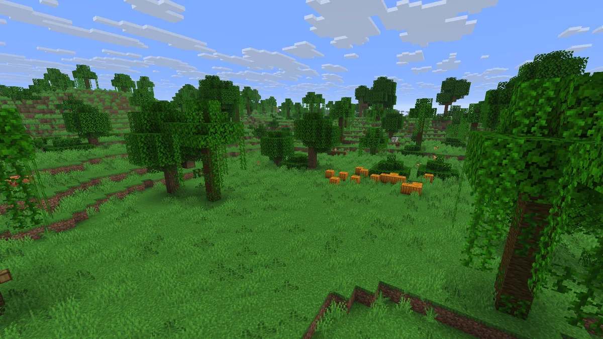 Jungle clairsemée dans Minecraft