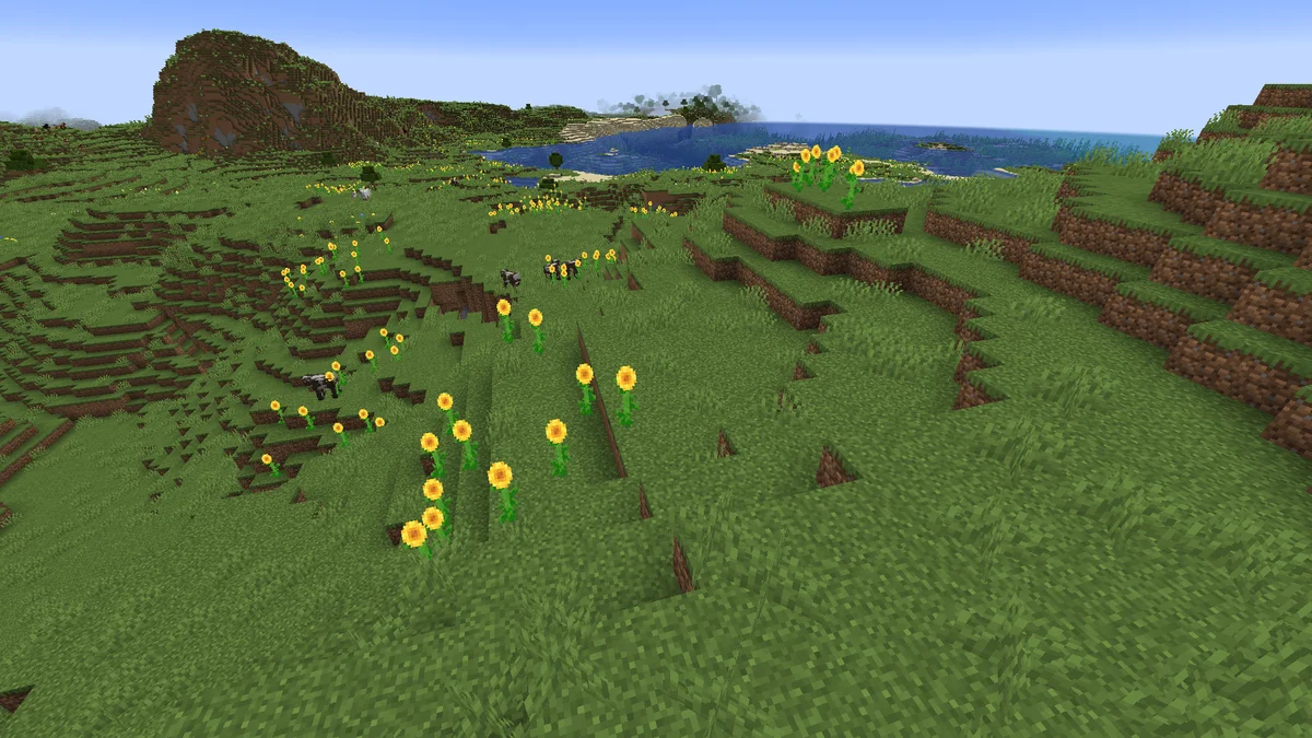 Plaines de tournesols dans Minecraft