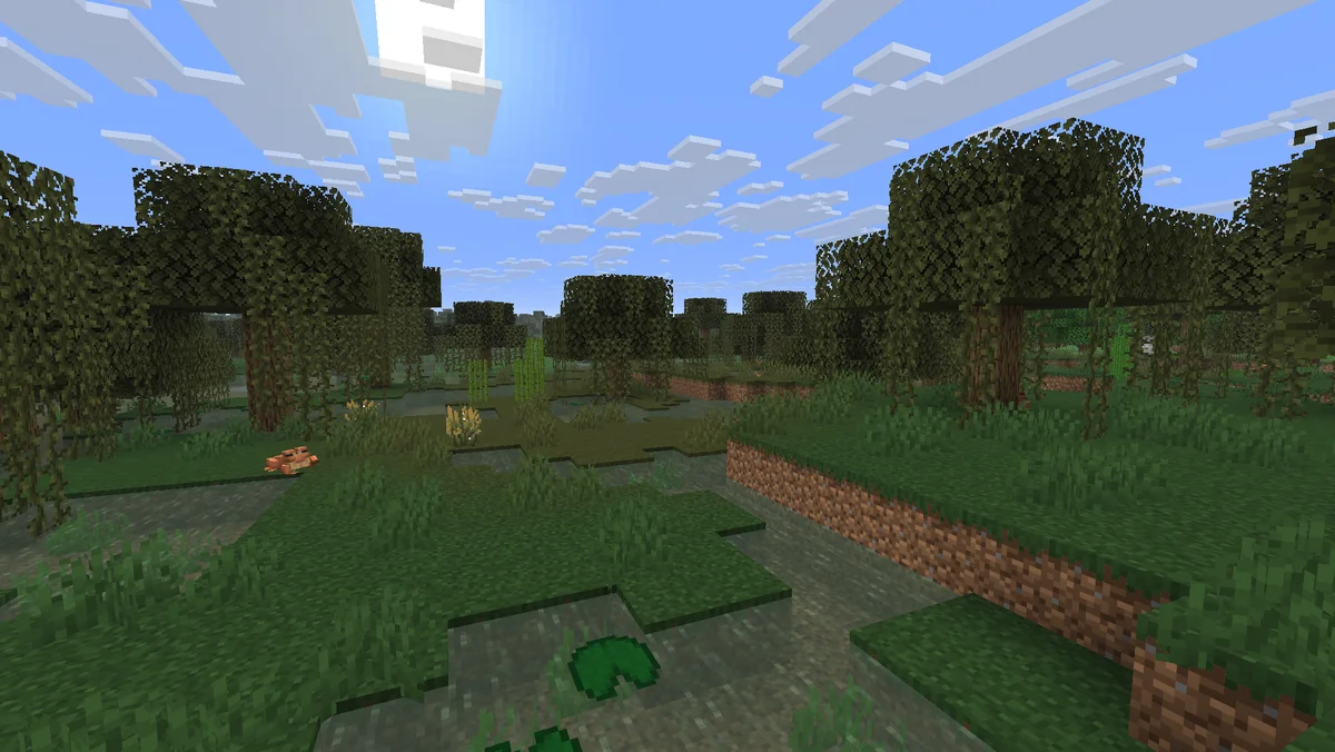 Marais dans Minecraft