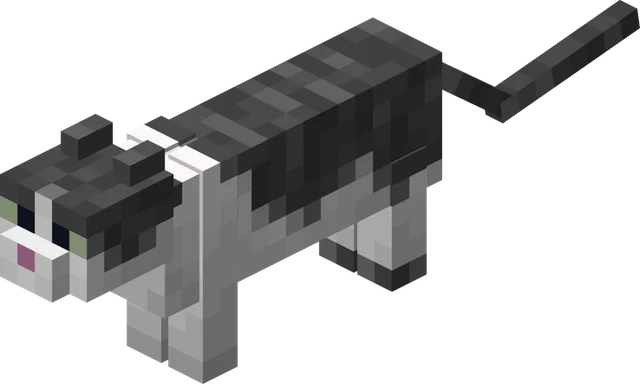 Chat dans Minecraft